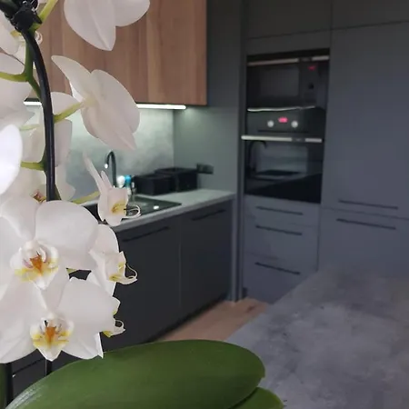 Luksusowe Apartamenty Na Torunskiej Kwidzyn Exterior photo